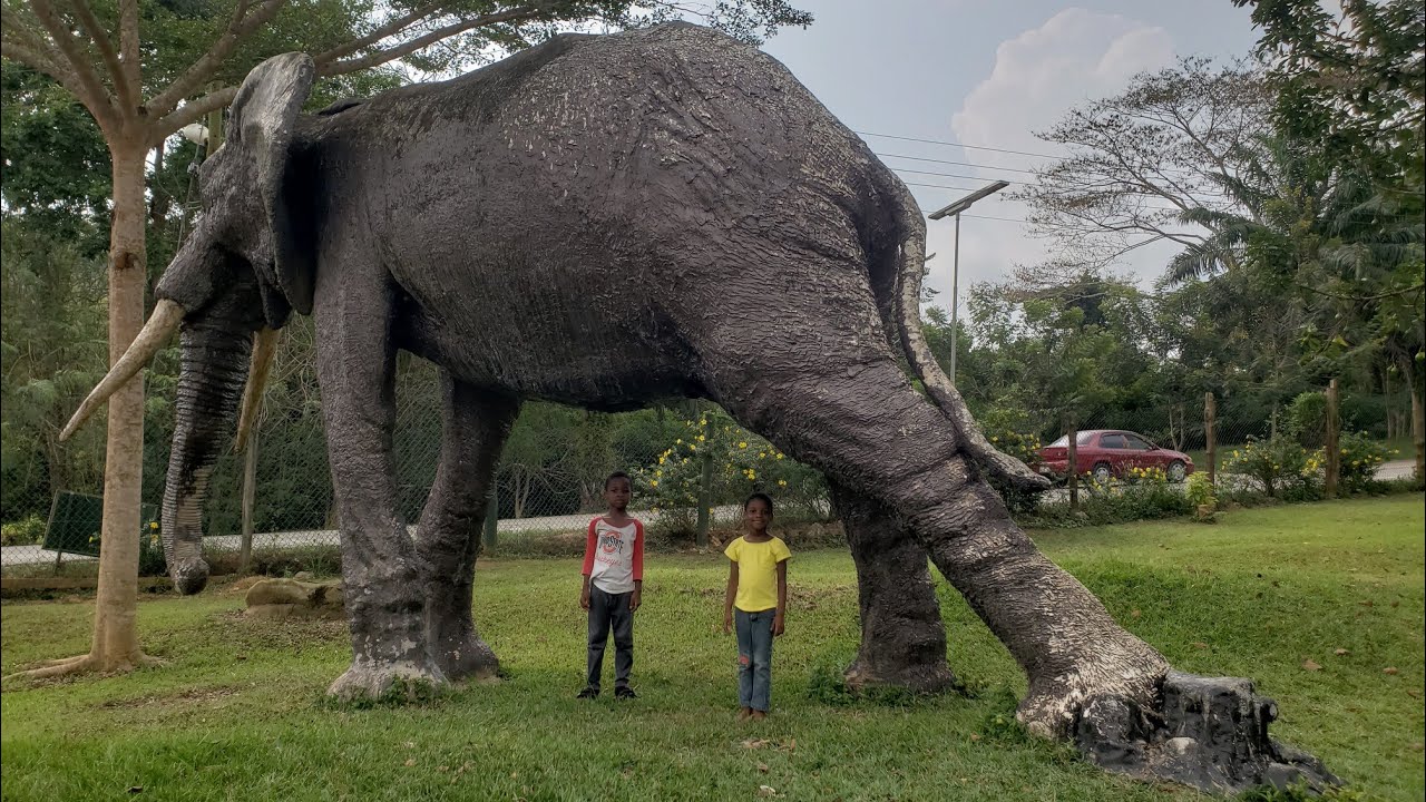 The Rattray Park Of Central Region, Ghana, Africa | Picabolo Tv Gh