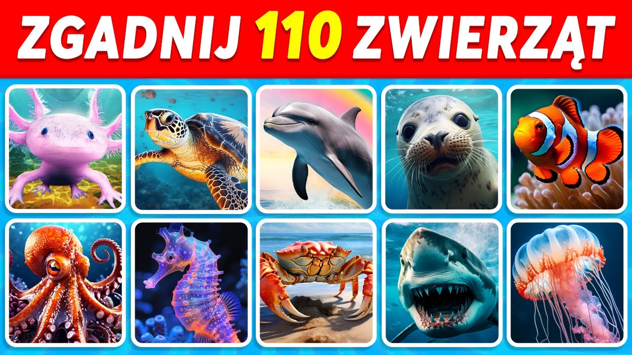 Zgadnij 110 ZWIERZĄT MORSKICH w 3 Sekundy | OD ŁATWYCH DO NIEMOŻLIWYCH
