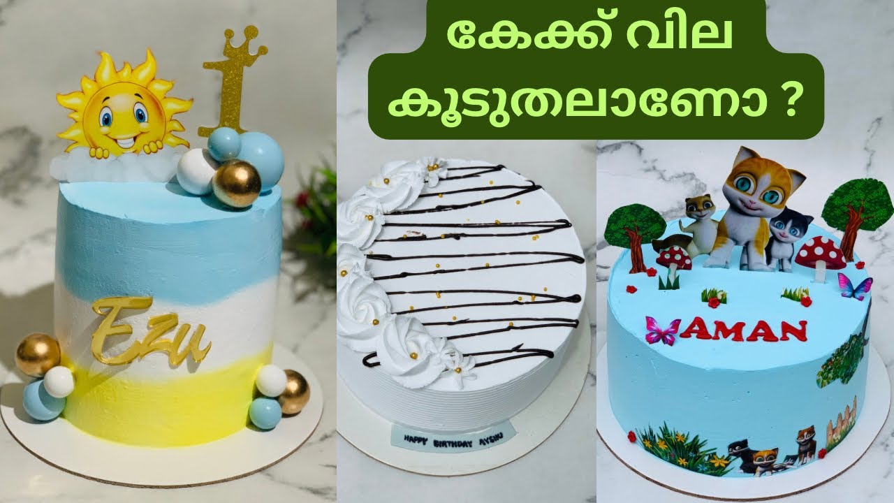 കേക്കിന് വില കൂടുതലാണോ  / cake vlog / baking / cake price / tender coconut cake / Kaathu cake