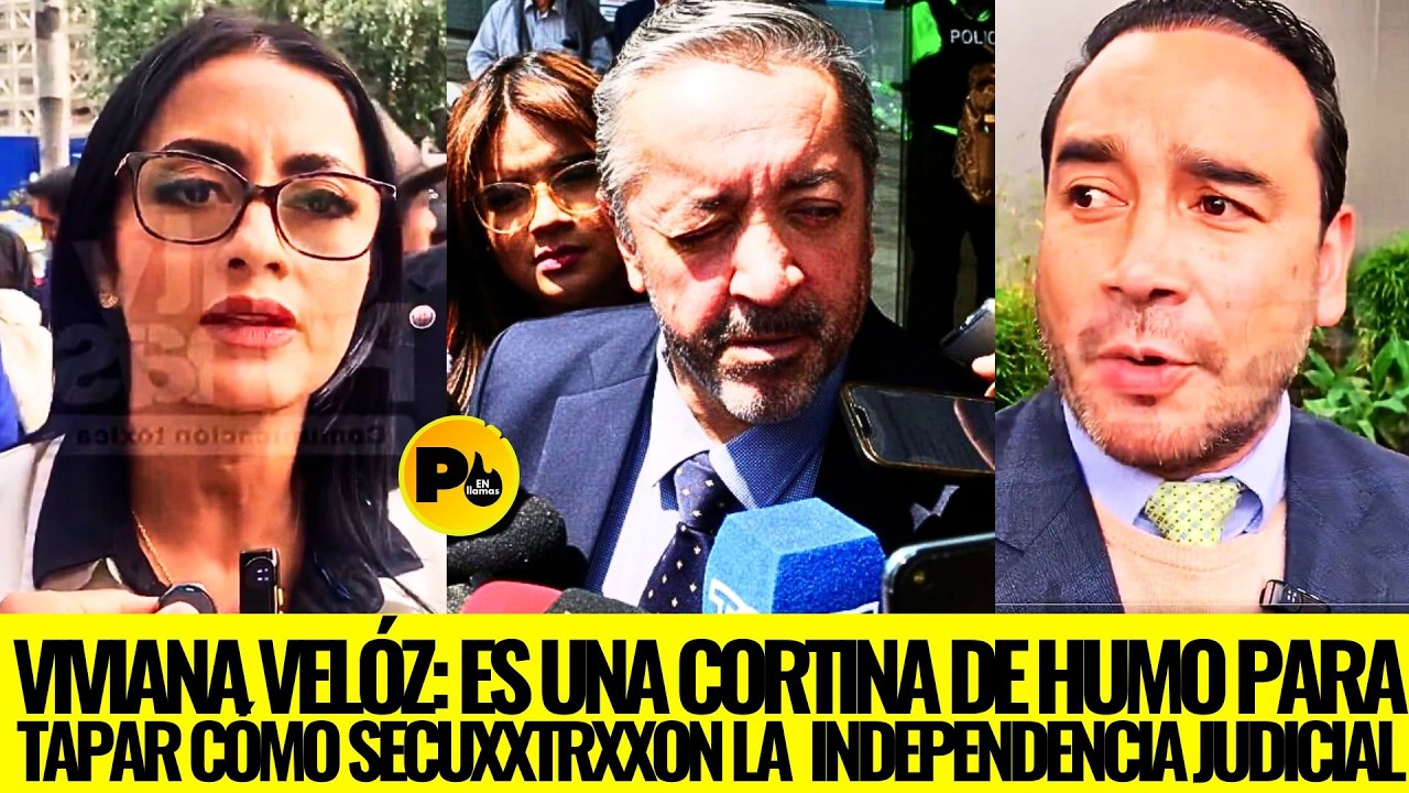 Viviana Velóz: Es una cortina de humo para tapar como secuxxtraxxn la  INDEPENDENCIA JUDICIAL