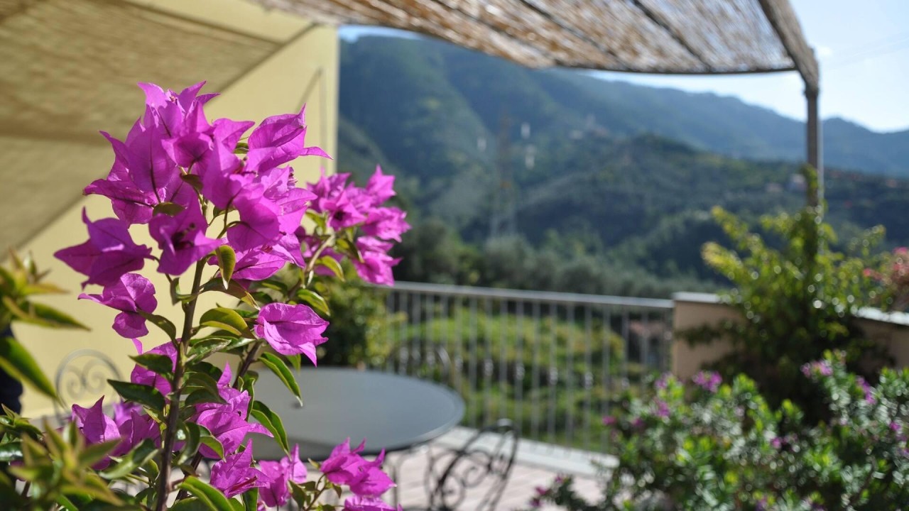 Hotel Al Terra di Mare, Levanto, Italy | Travel With Divya