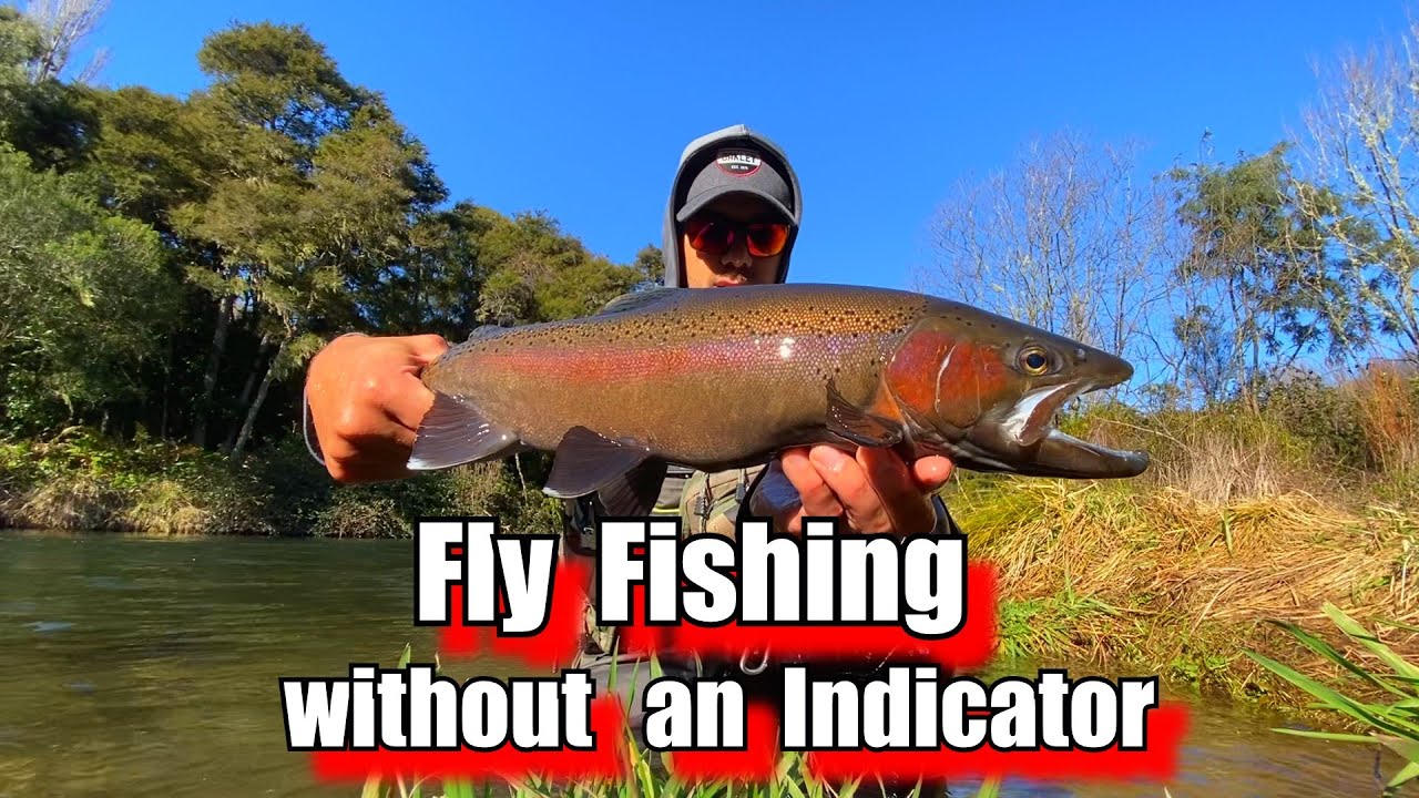 Fly Fishing without an Indicator for Winter run Trout.