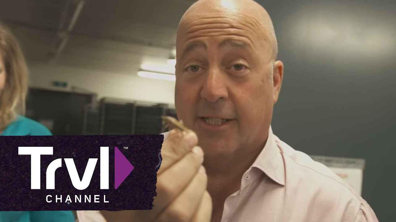 Andrew Zimmern Eats Insect-Filled Nuggets | Bizarre Foods with Andrew Zimmern | Travel Channel