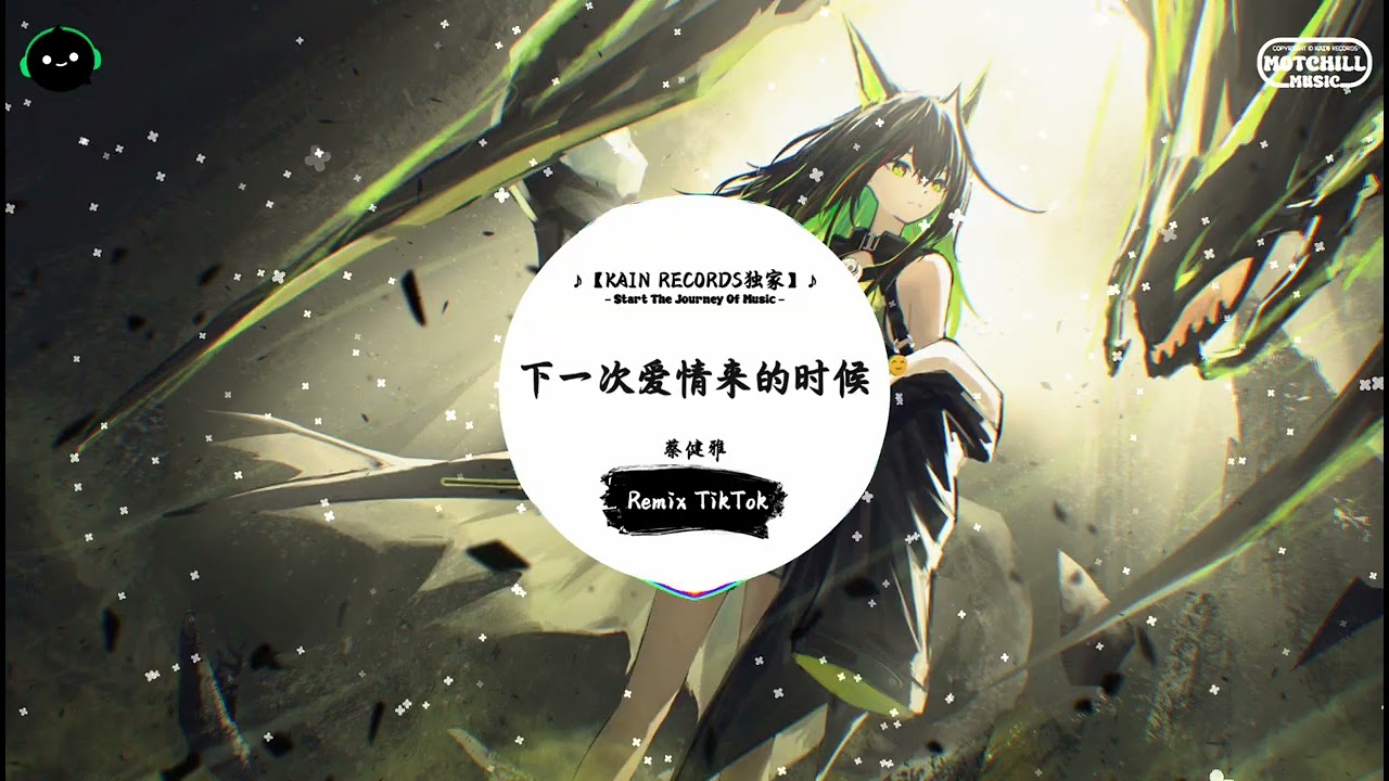 下一次爱情来的时候 (抖音DJ版) - 蔡健雅『下一次爱情来的时候，我应该可以冷静对待。』♪ || 年度最佳抖音歌曲 | 抖音最火歌曲音 | 抖音 | TikTok •|• Douyin ♪