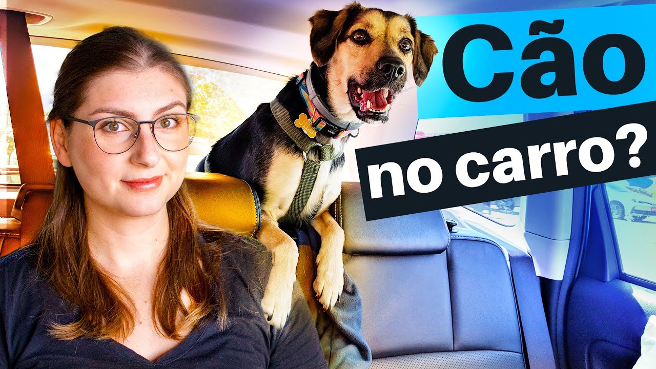 O MELHOR jeito de levar CACHORRO no CARRO!