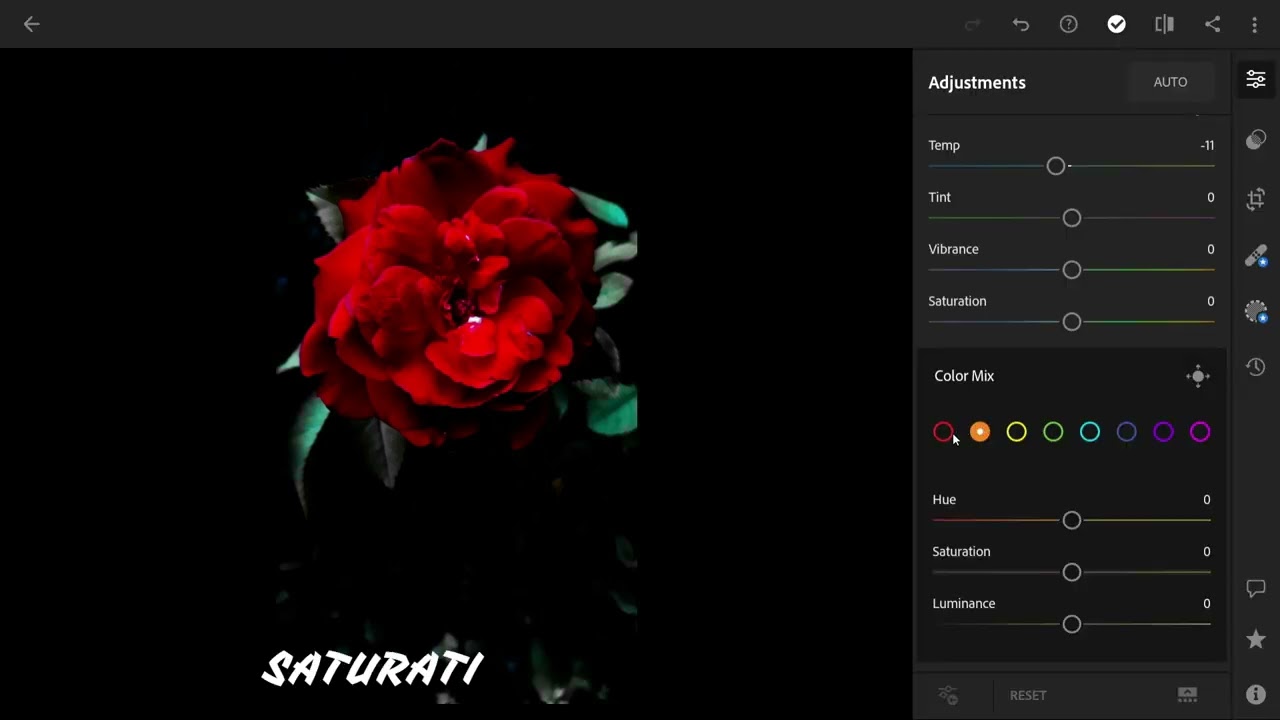 Before and After edit Rose flower using Lightroom