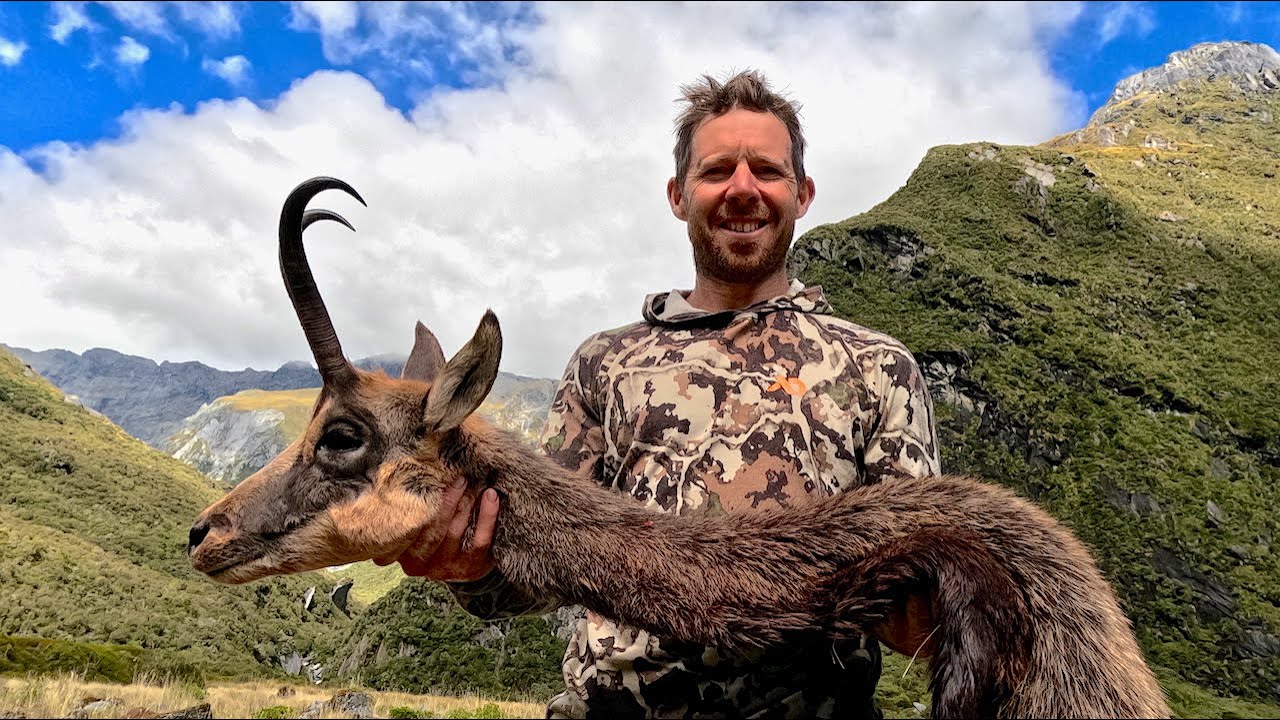 High horns, no roars. Roar ballot 2025 hunting NZ