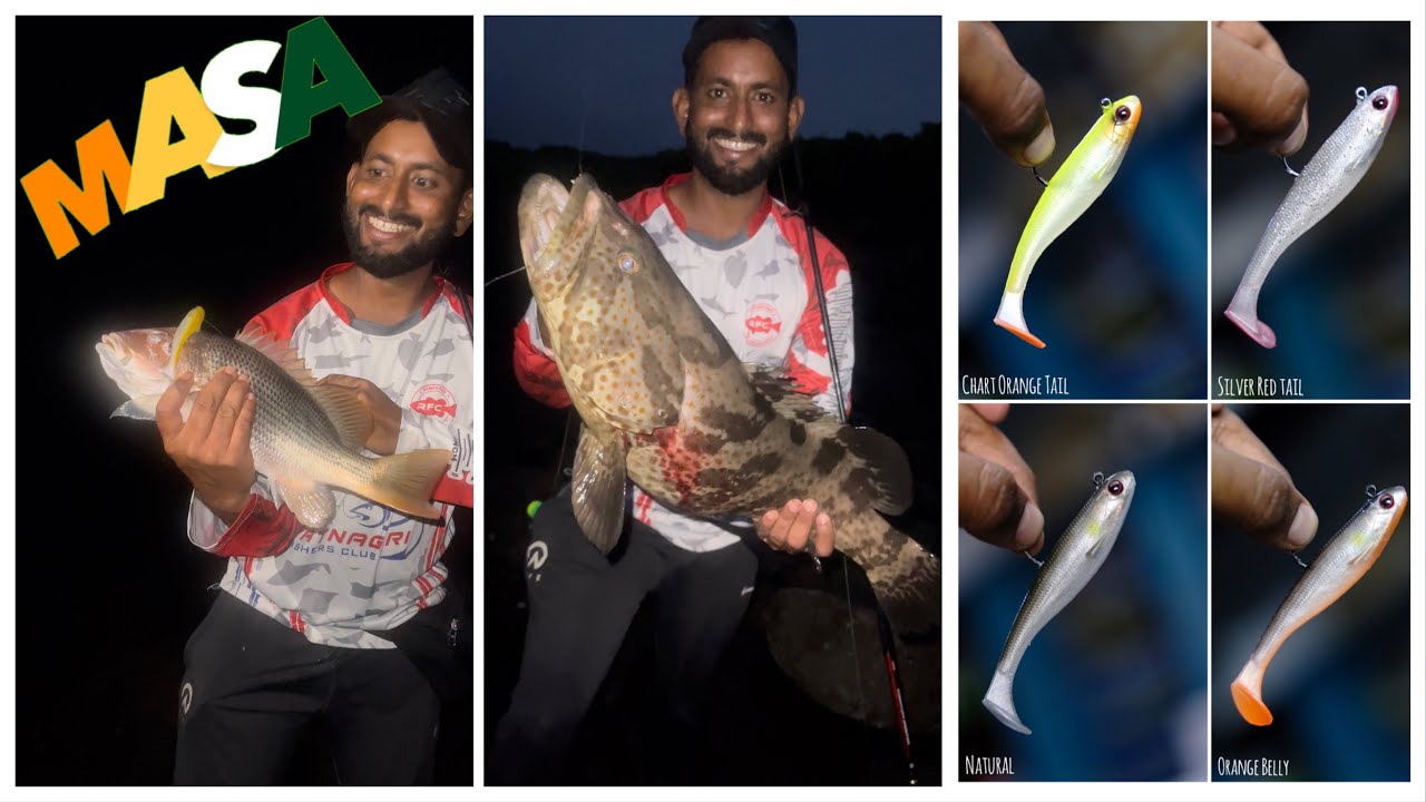 Grouper and Fingermark snapper on Masa 12CM 30G Shad #fishing #tackletips