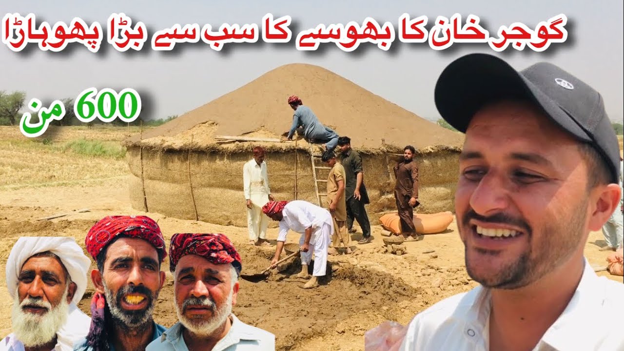 Wheat Fodder Dumped by Potohar Farmers || Gandam ki Turri Bhoosa || Kharali Gujjar khan