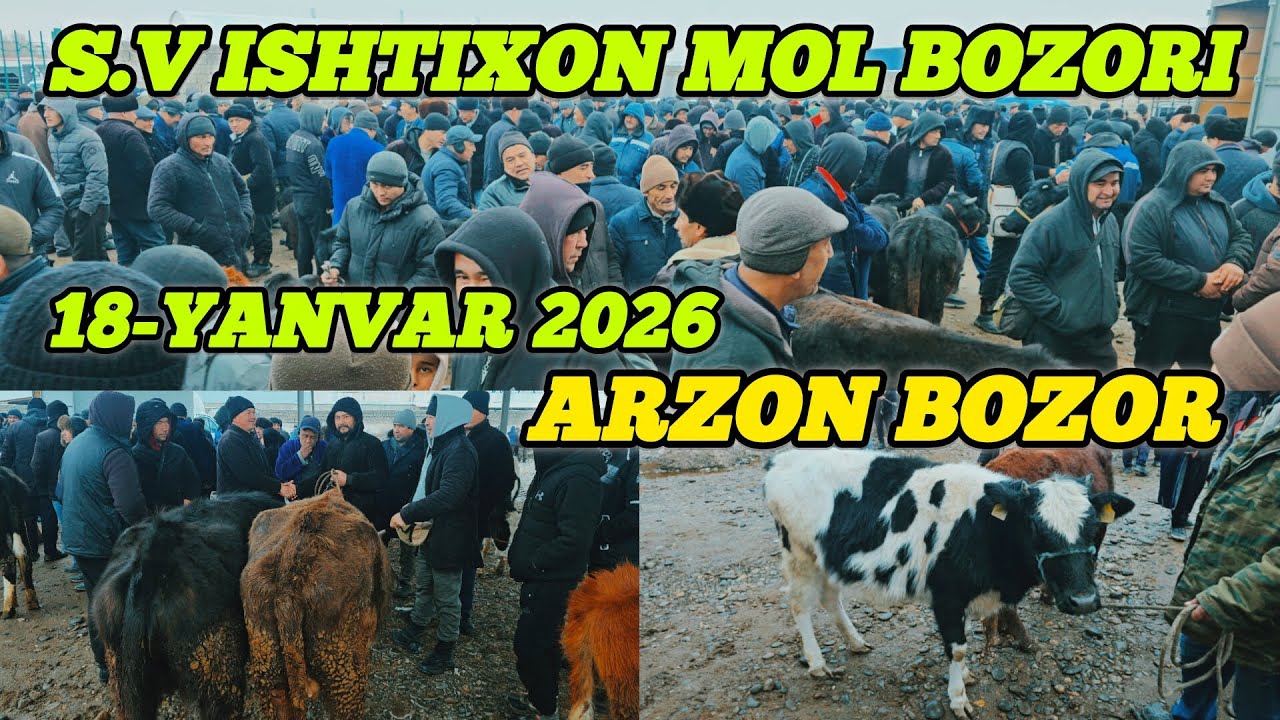 SAMARQAND ISHTIXON MOL BOZORI 