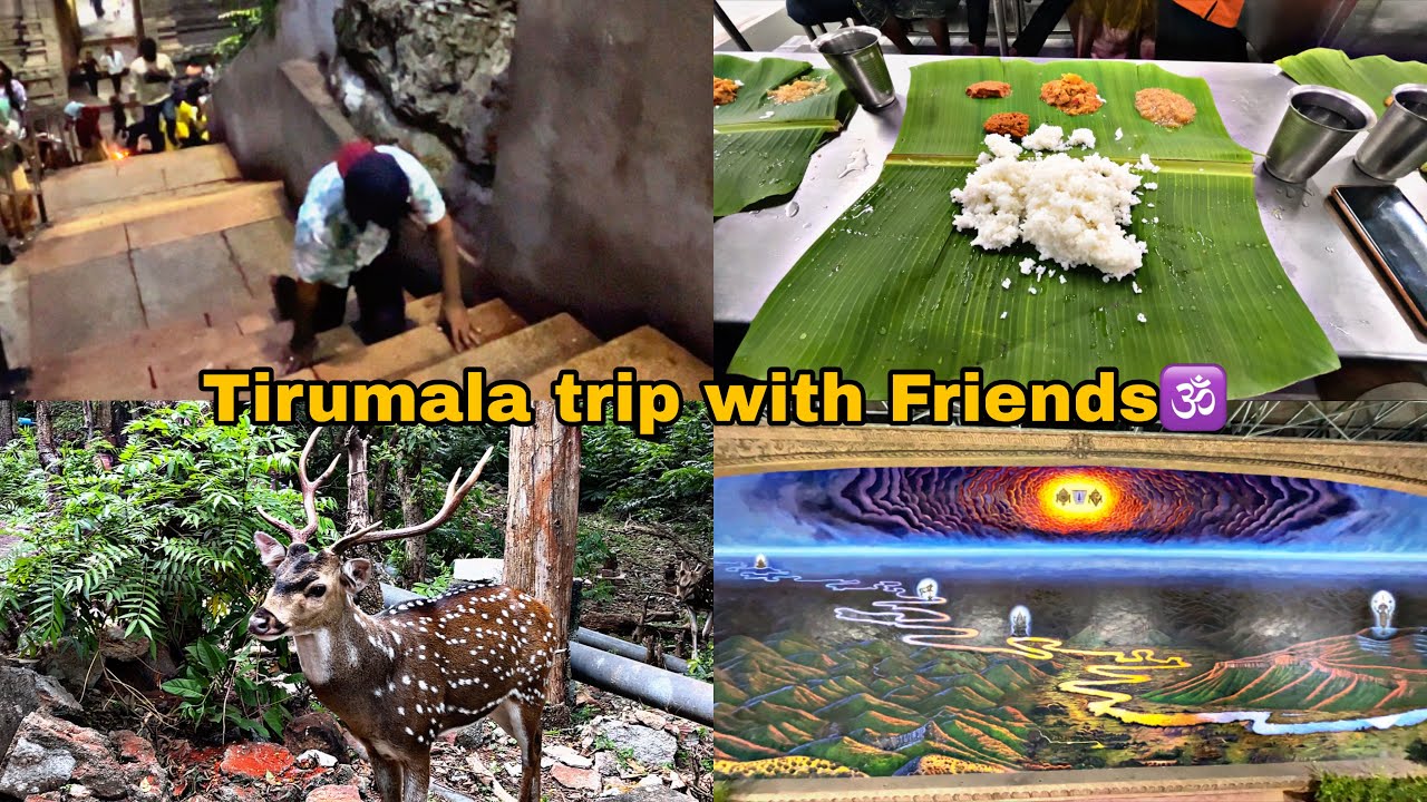 Tirumala Tirupati Trip with Friends🕉️ | Alipiri Metlu to Tirumala in 3 hours | Tirumala Tirupati 