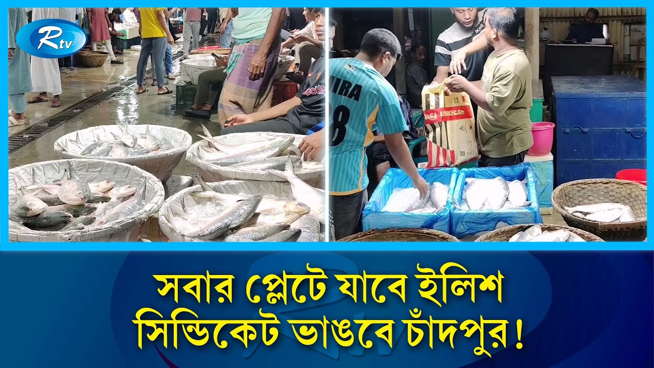 সিন্ডিকেট ঠেকাতে চাঁদপুর থেকেই নির্ধারণ হচ্ছে ইলিশের দাম! | Chandpur | Ilish | Rtv News