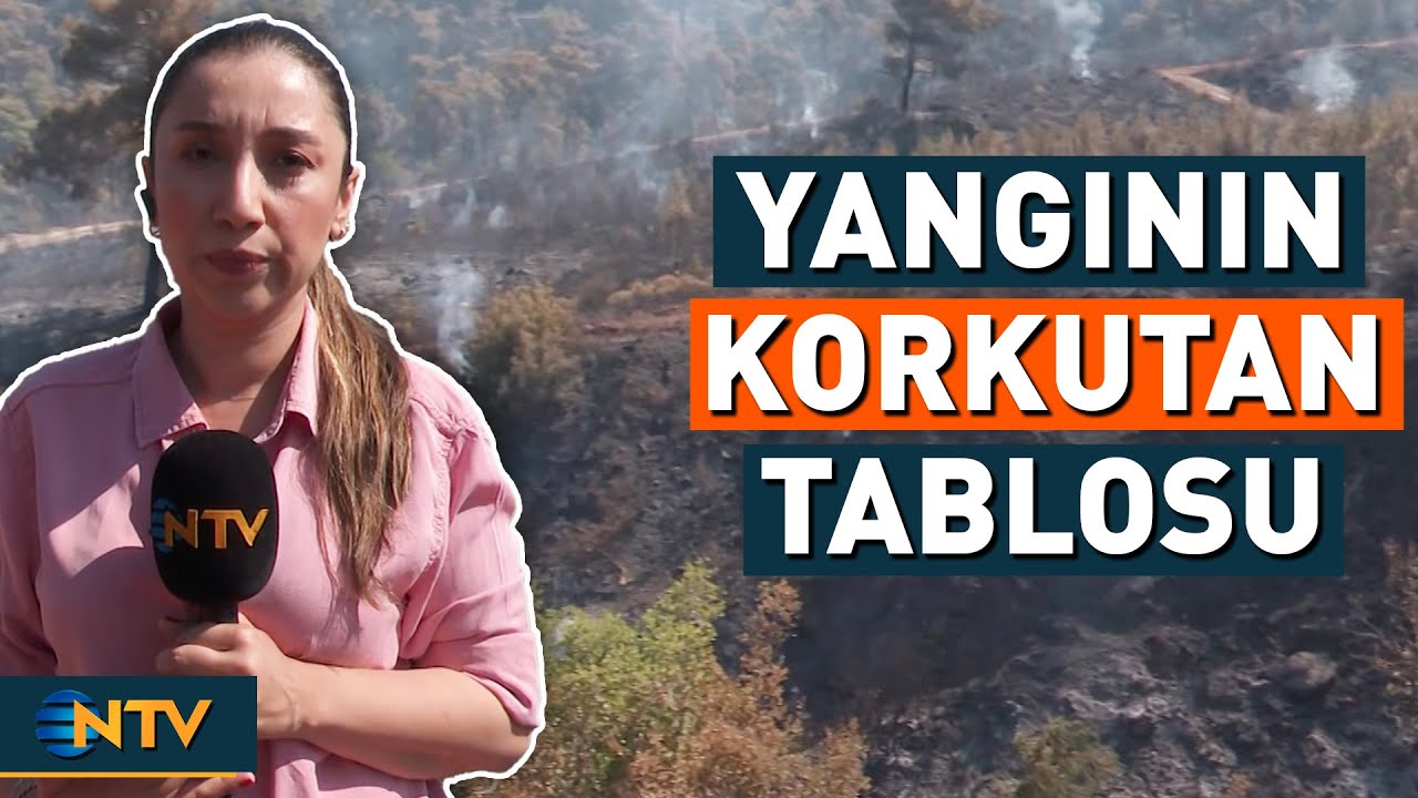 Manisa'da Orman Yangını Sonrası Korkutan Görüntüler | NTV