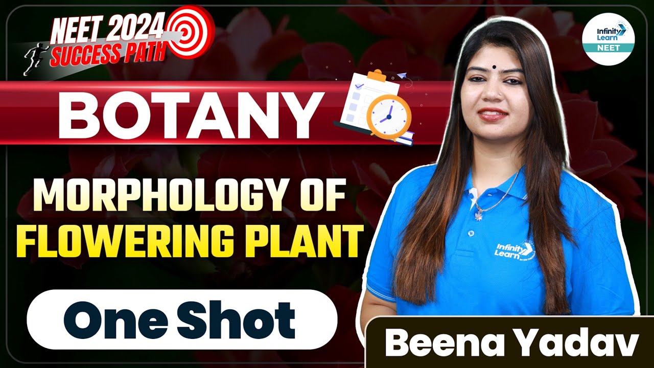 Morphology of Flowering Plant In One Shot | Botany | NEET 2024 | Beena Yadav | Infinity Learn NEET