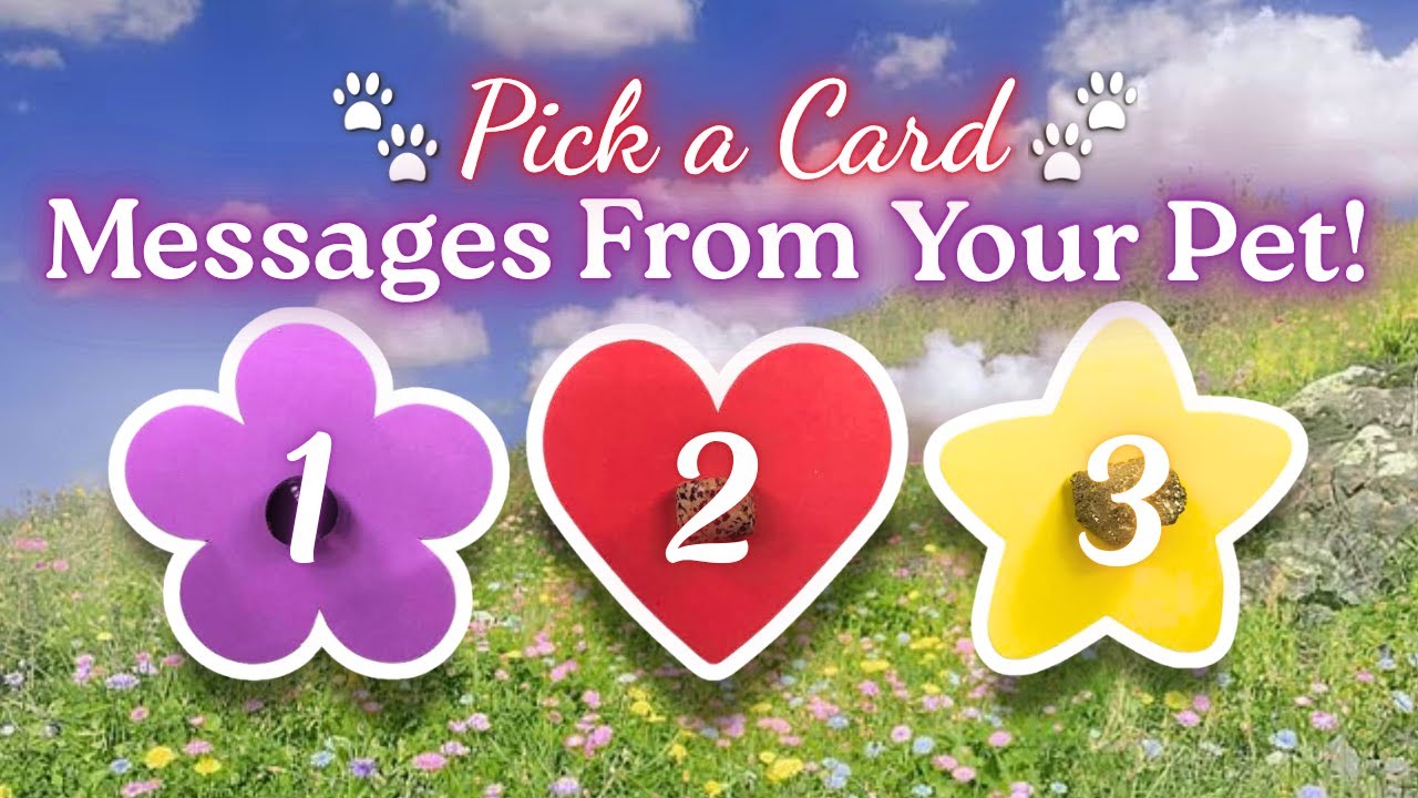 🐶🐱 PICK A CARD - Messages From Your Pet!