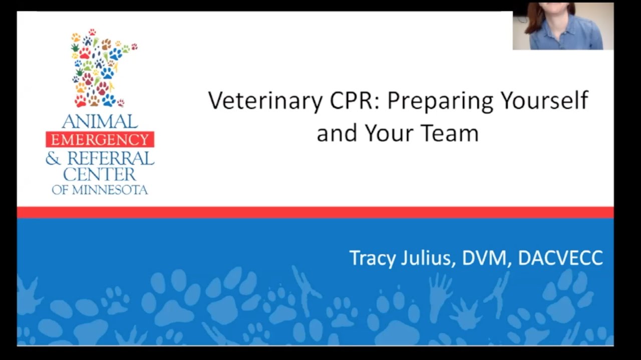 Veterinary CPR: Preparing Yourself and Your Team