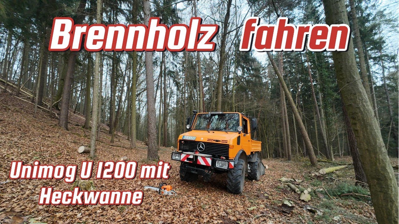 Brennholz aufarbeiten und fahren / Unimog U1200 mit Heckwanne