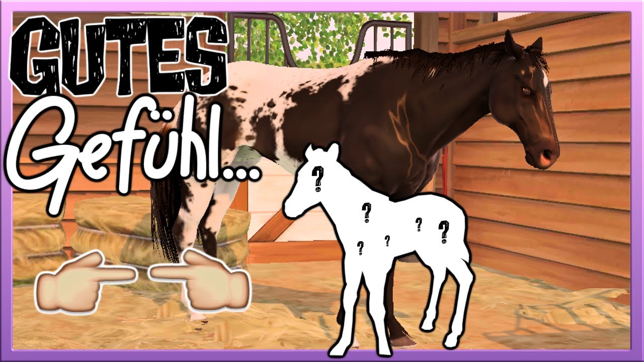 bei DIESEM FOHLEN 🐴 habe ich ein GUTES GEFÜHL 👉🏼👈🏼  Rival Stars Horse Racing