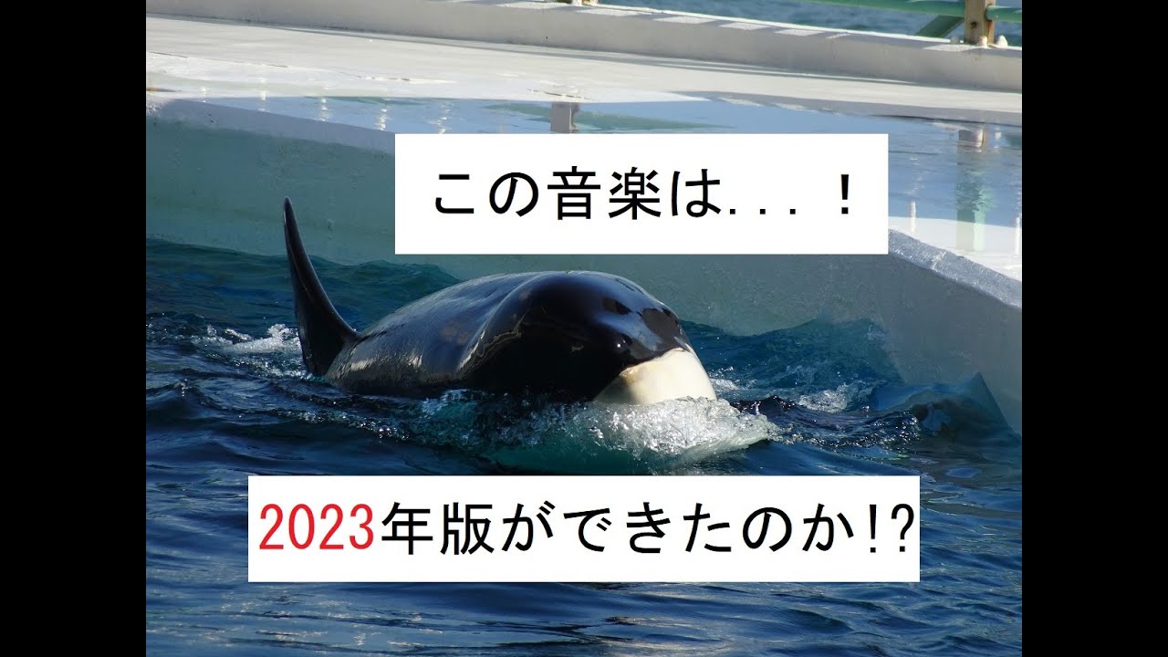 この音楽は...!! 　鴨川シーワールド シャチショー 曲　「2023年版」　Kamogawa Sea World Orca (Music)