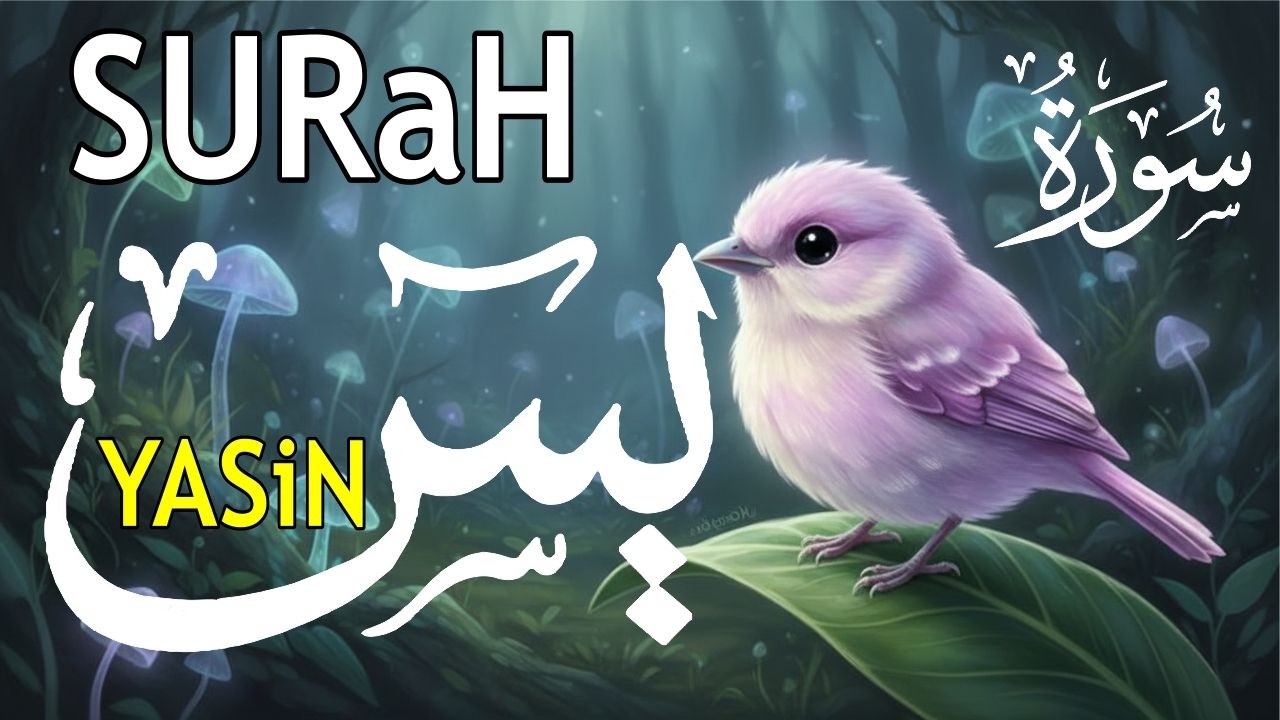 Most beautiful recitation of Surah Yaseen (Yasin) سورة يس | EP 06