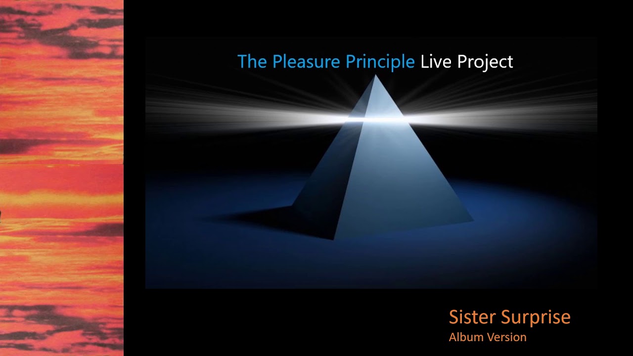Gary Numan - Sister Surprise - Instrumental Cover (Updated)
