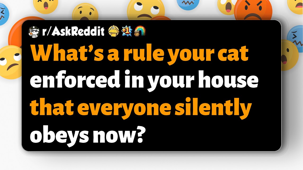 r/AskReddit | What’s a rule your cat enforced in your house that everyone silently obeys now?