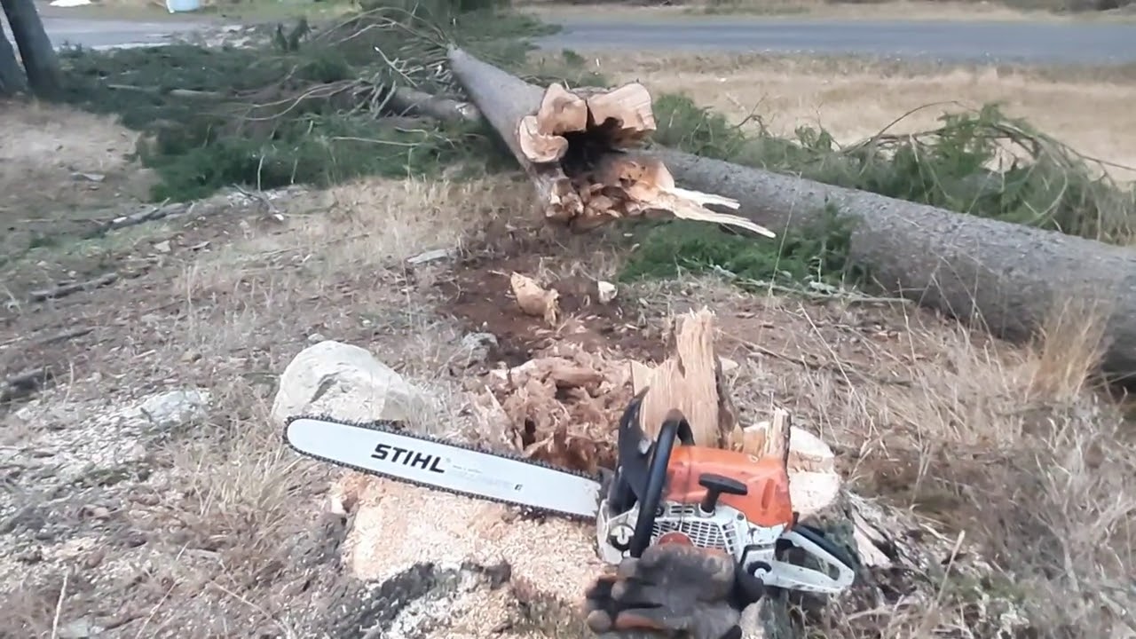 Těžba dřeva/wood cutting (STIHL MS 462) 10-2020