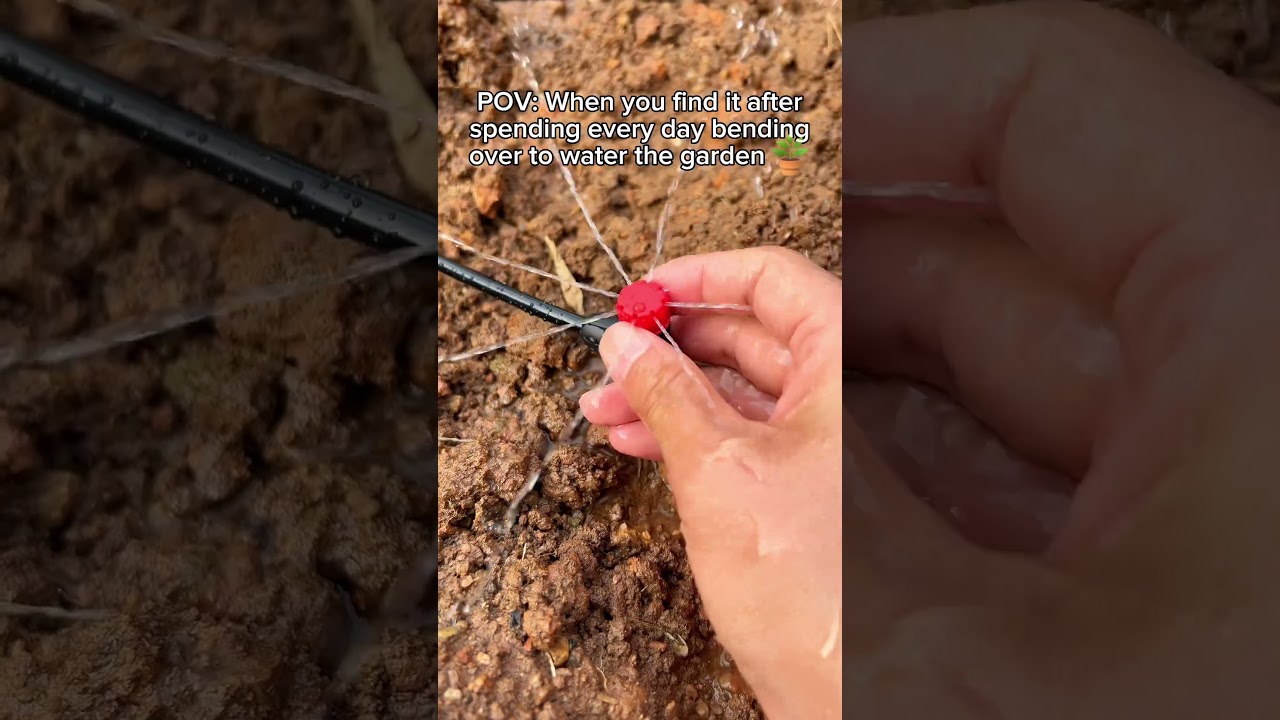 For these La Farah Drip Emitters , you just do a simple twist to get the right flow. #LaFarah