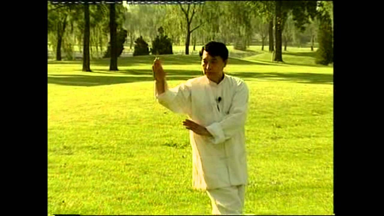 Yin Baguazhang 8 Rotating Palms by Wang Shangzhi