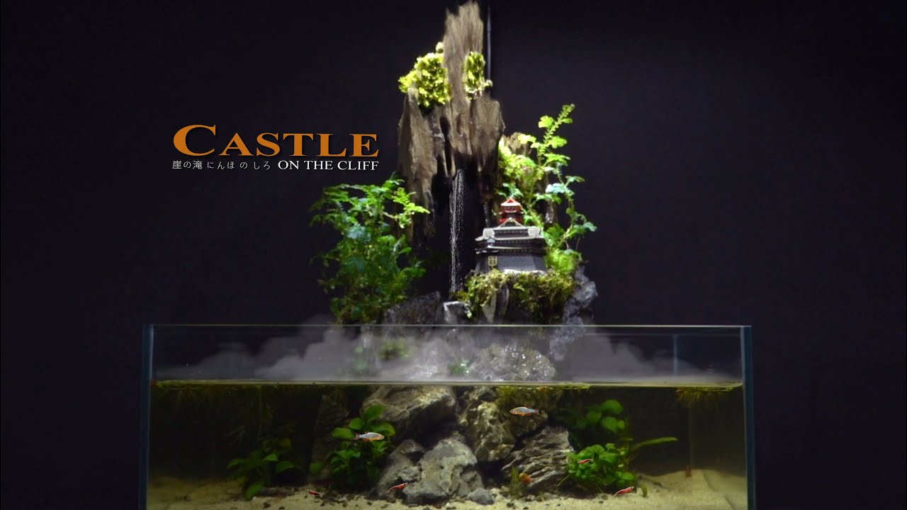 Use Stone and Driftwood to make Castle Aquaterrarium  l  EASY TO DO