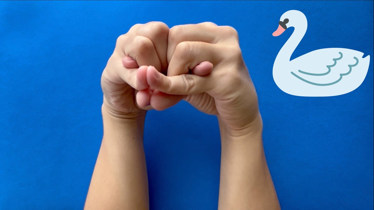 SWAN 🦢 Hand Puppet Tutorial