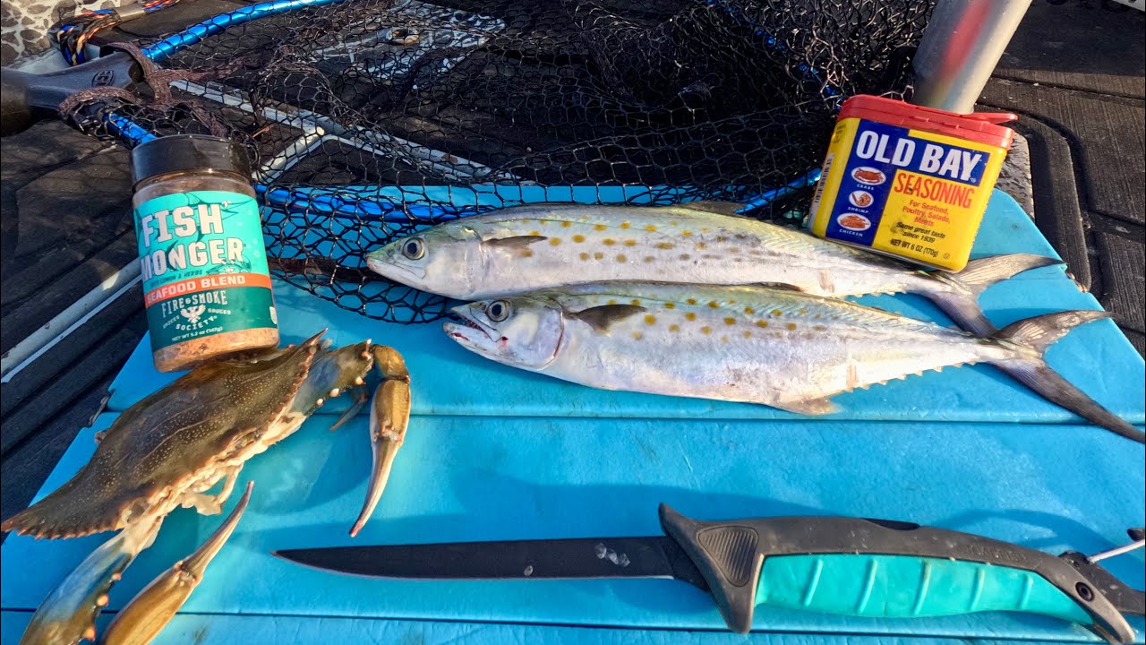 Spanish Mackerel Catch n' Cook on my Boat! (Shark Fishing and Trolling)