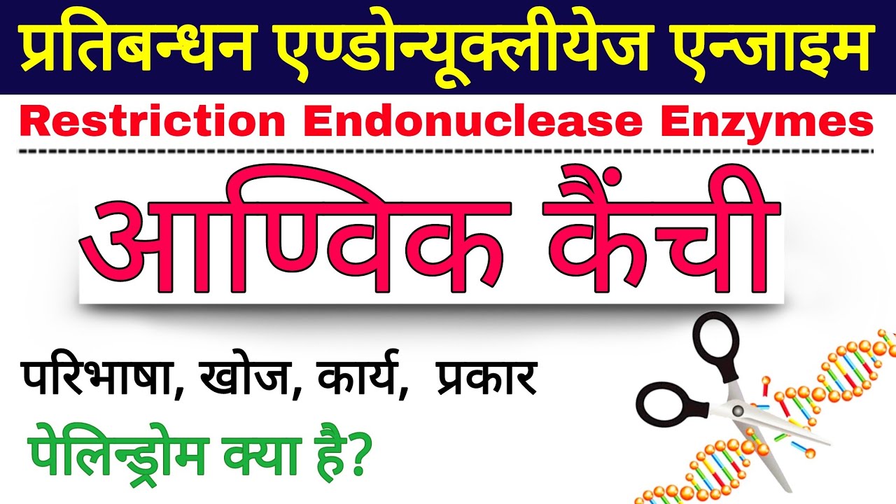 आण्विक कैंची | restriction enzymes | molecular scissors in Hindi | Restriction Endonuclease Enzymes
