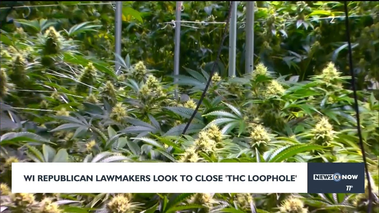 Wisconsin Republican lawmakers to close THC loophole