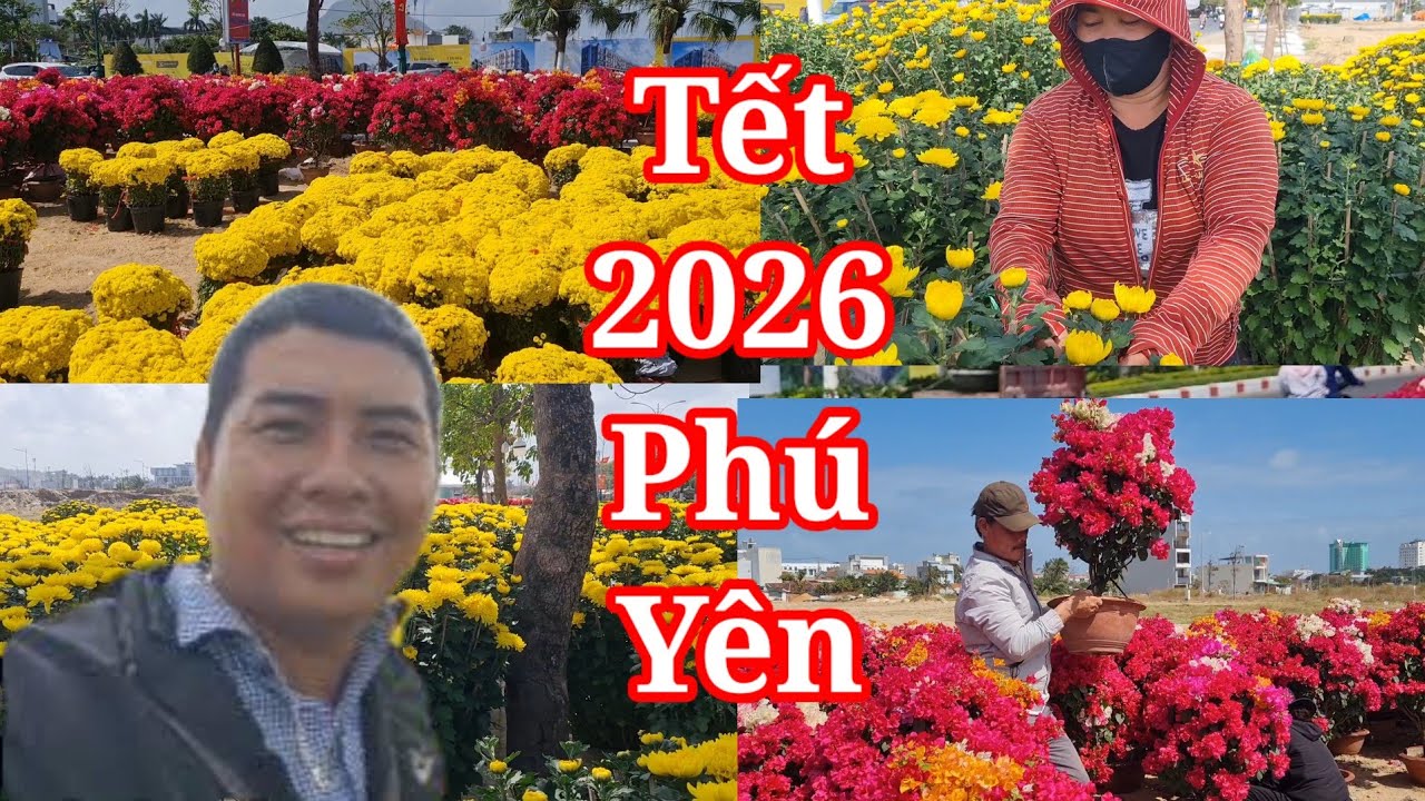 Không khí tết 2026 ở Tuy Hòa Phú Yên chợ hoa tết khoe sắc rực rỡ