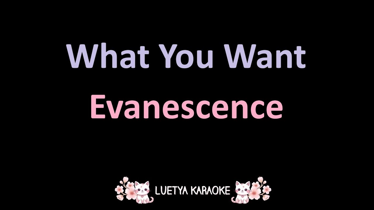 What You Want - Evanescence (Karaoke)