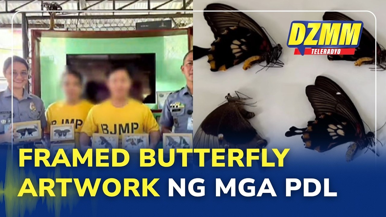 PDLs craft framed butterfly artwork under BJMP livelihood program |Panalong Diskarte (15 March 2026)