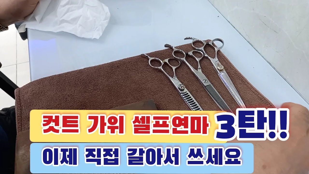 컷트가위.미용가위 셀프 연마.. 미용가위 셀프관리..가위가는방법 어렵지않네요.. 누구나 쉽게 따라해보세요