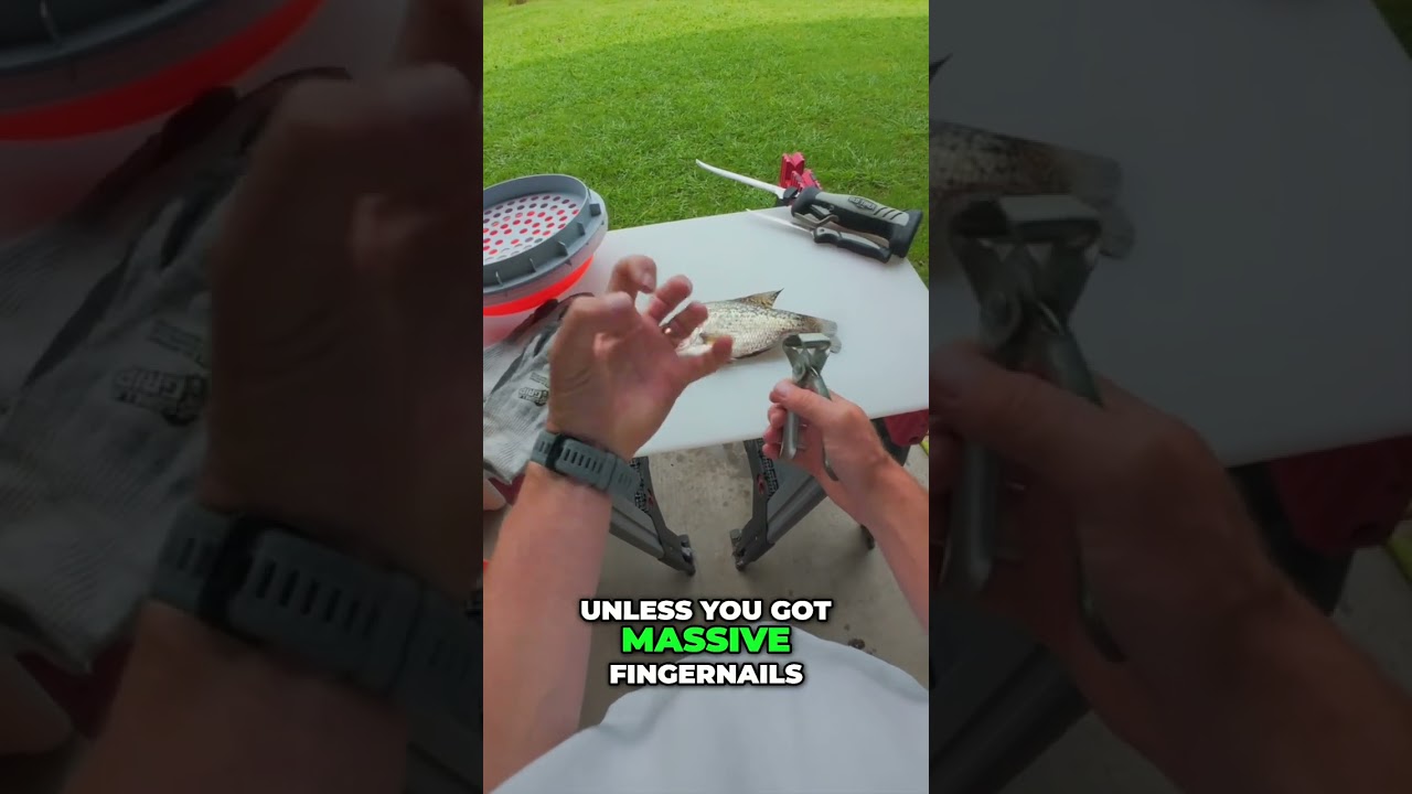 My Crappie Cleaning Routine