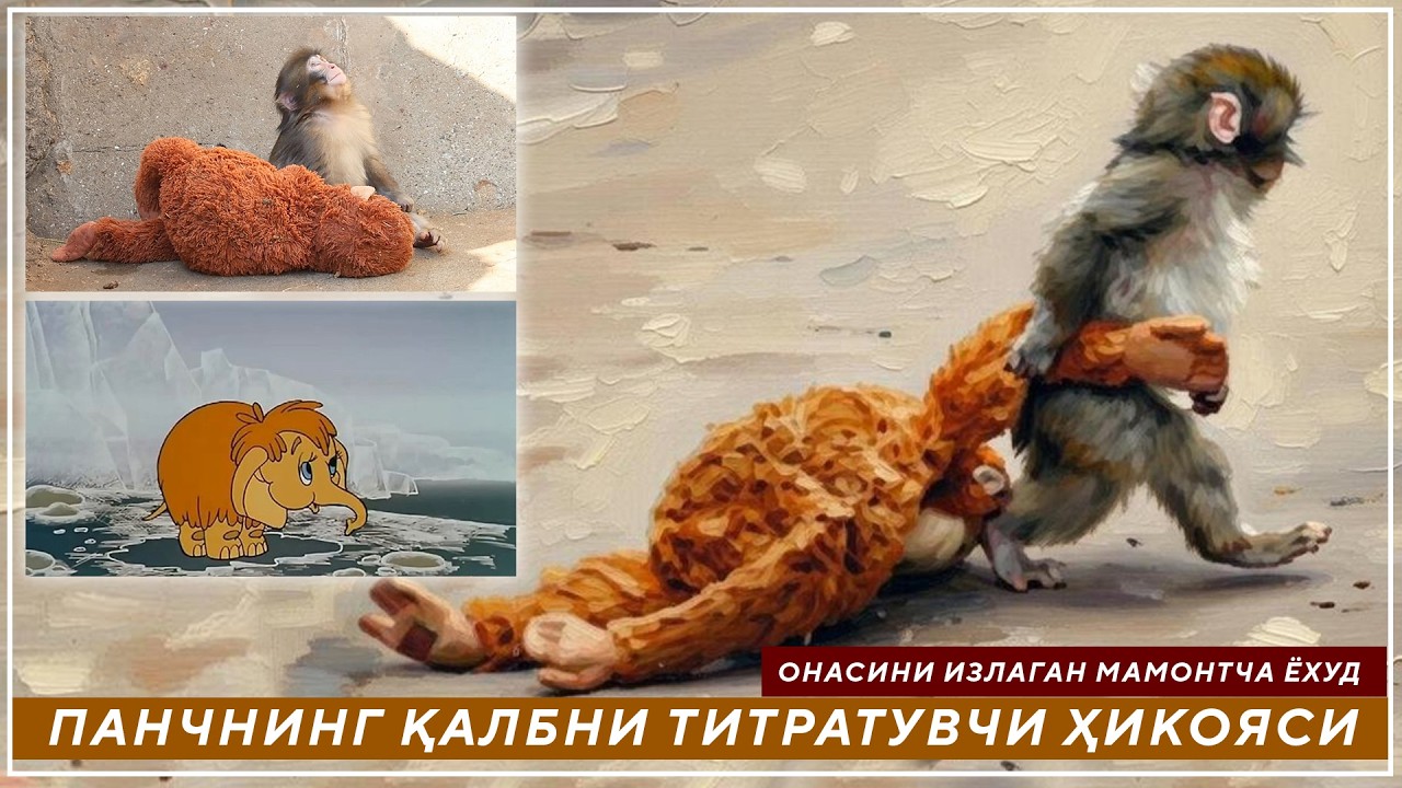 ОНАСИНИ ИЗЛАГАН МАМОНТЧА ЁХУД ПАНЧНИНГ ҚАЛБНИ ТИТРАТУВЧИ ҲИКОЯСИ