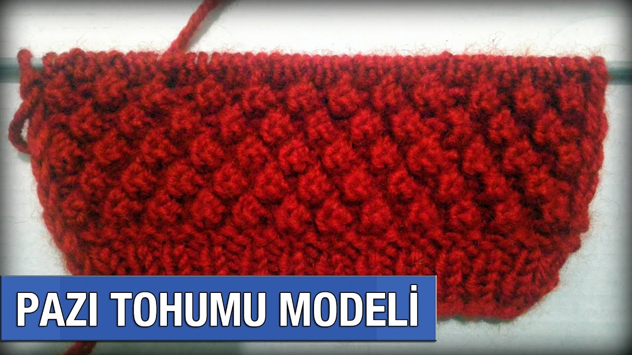 Pazı Tohumu Modeli