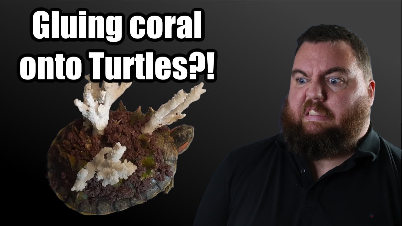Fake Barnacle Removal Videos Has to STOP