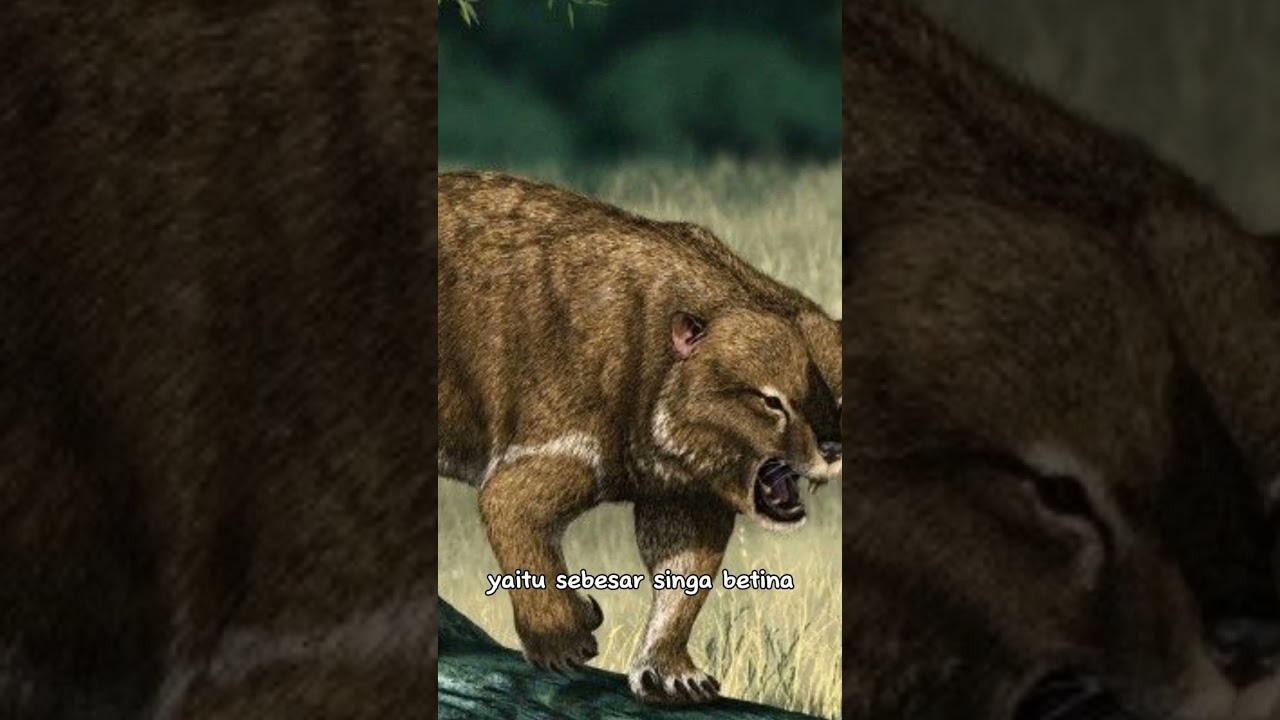 Thylacoleo - singa marsupial yang mengerikan #fyp #faktahewanprasejarah #paleontology #dinosaurus