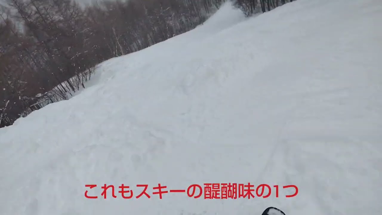 パウダーのスプリングバレー（26.02.09）楽しむシニアスキーヤー（17）