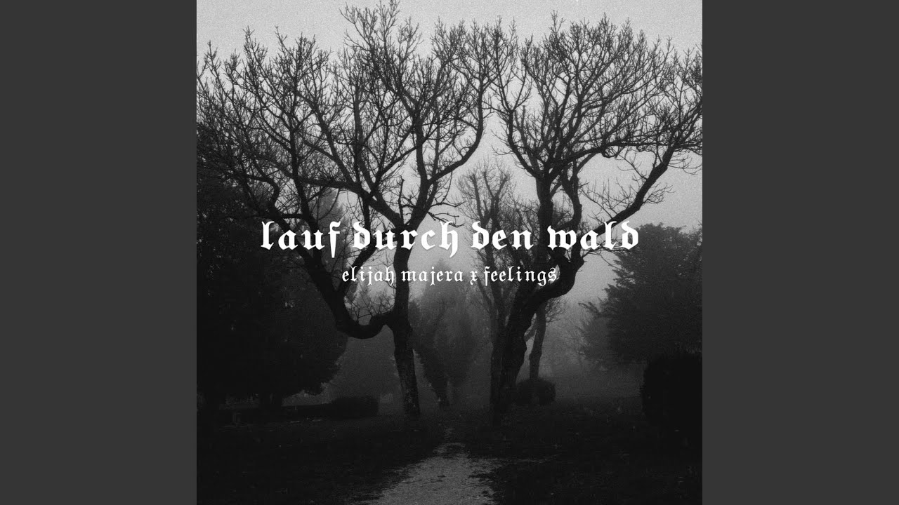 lauf durch den wald (feat. Elijah Majera)