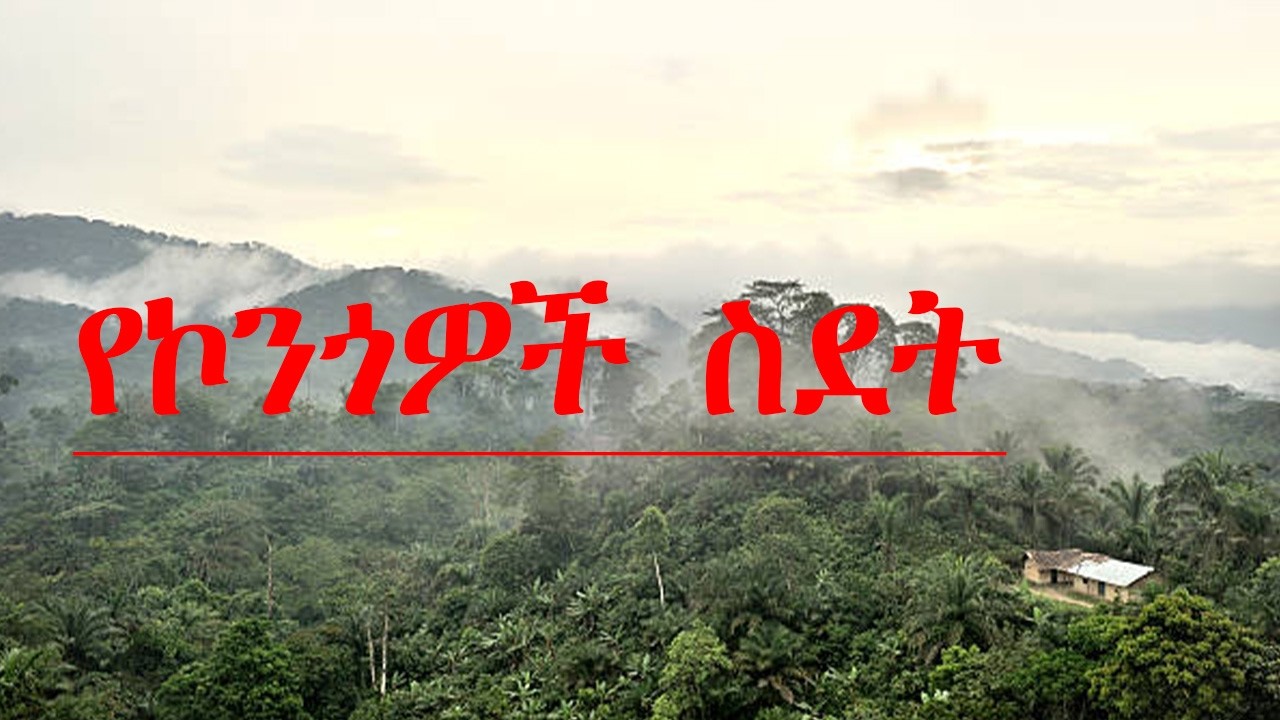 ኮንጎ ስላለው ፈታኝ የትራንስፖርት ሁኔታ፣ ስለ ህዝቡ አስደናቂ ጽናት እና ስለ ህልውና ተጋድሎ የሚተርክ ጥልቅ የሆነ ዘጋቢ ፊልም (Documentary)  ነው።