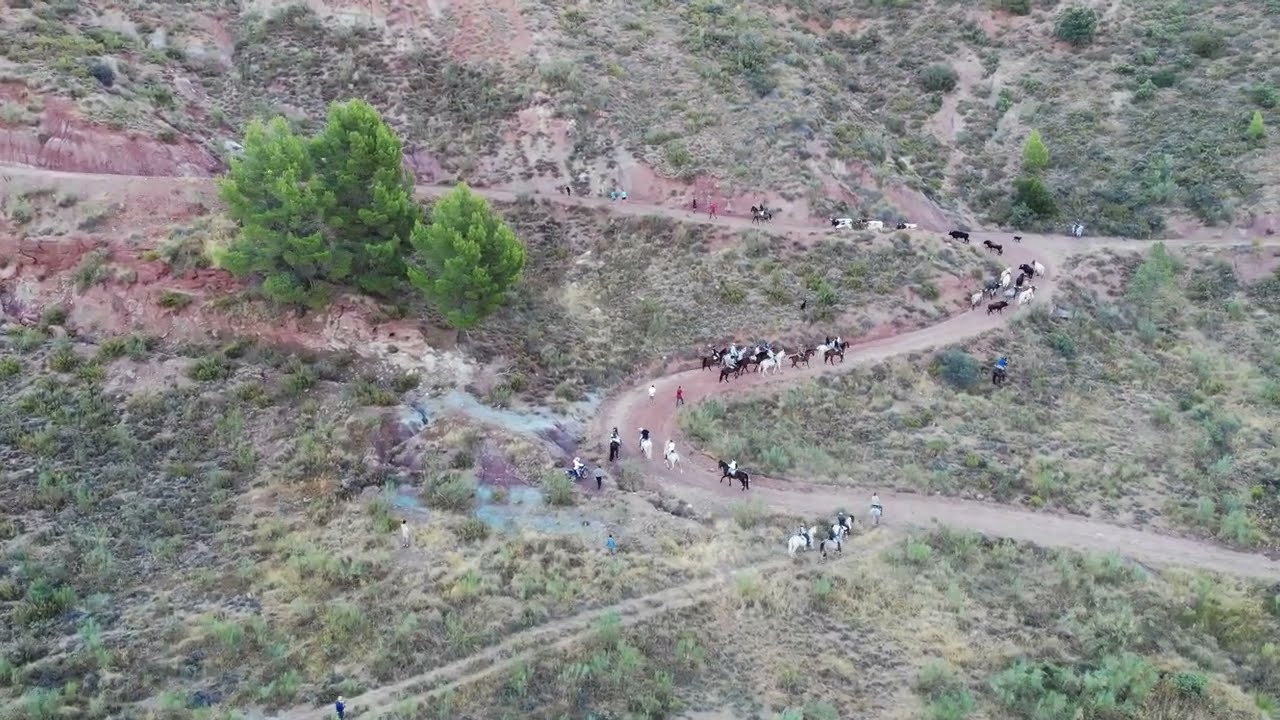 Vereda 2022 - Bogarra