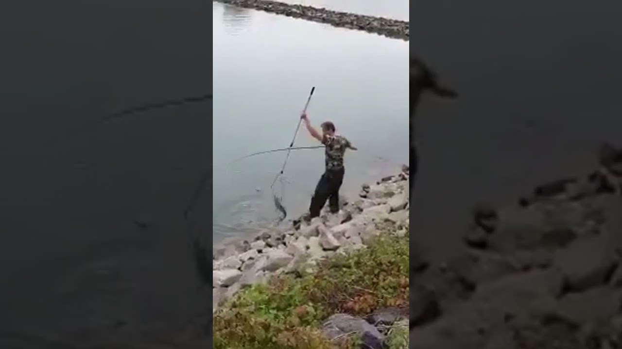 Рыбалка🎣 на реке  Rhein, клюнул большой лещ 2021г. #рыбалка #fishing #angeln #p&ecirc;che #удочка #лещ