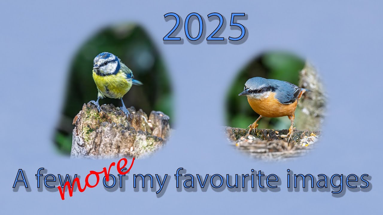 A few MORE of my favourite images from 2025