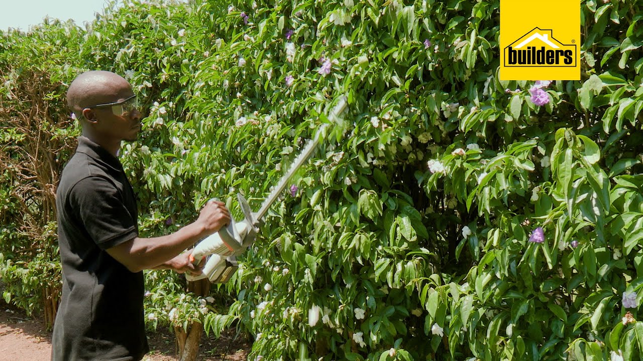 Hedge Trimming With The Ryobi Cordless Hedge Trimmer